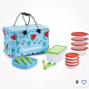 Tupperware Host exclusive Insulated picnic basket set